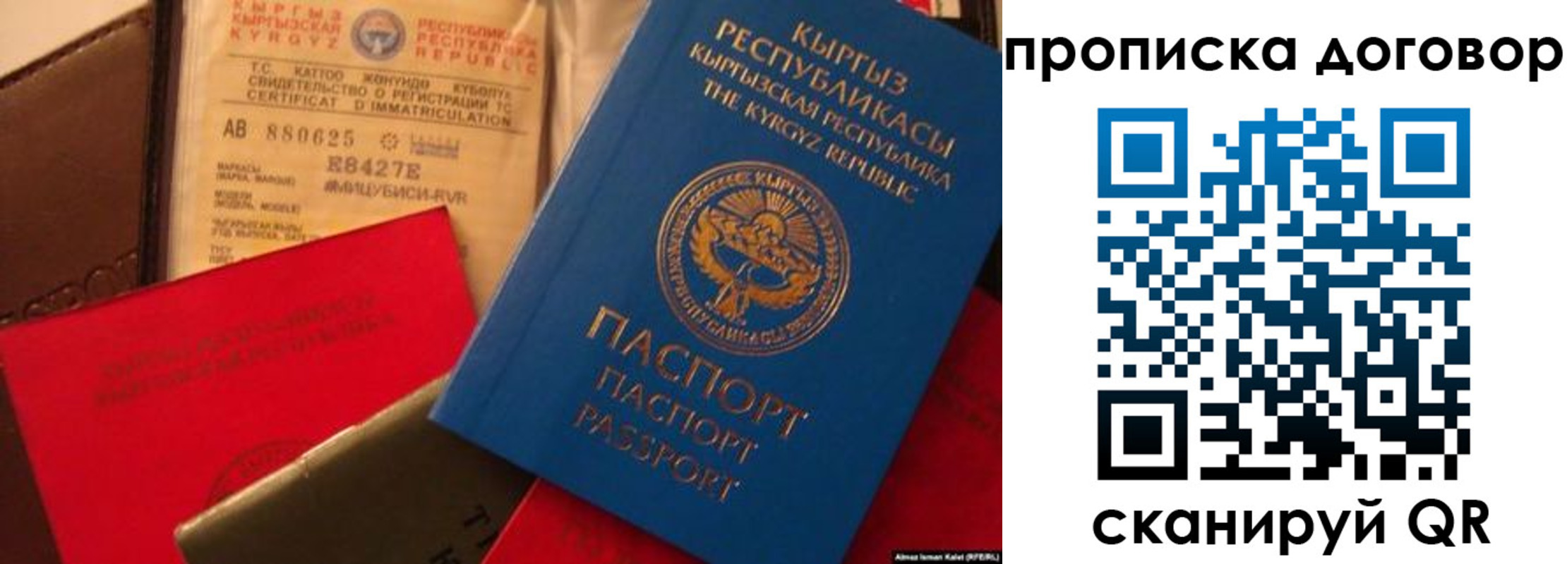 прописка законно в Стародубе